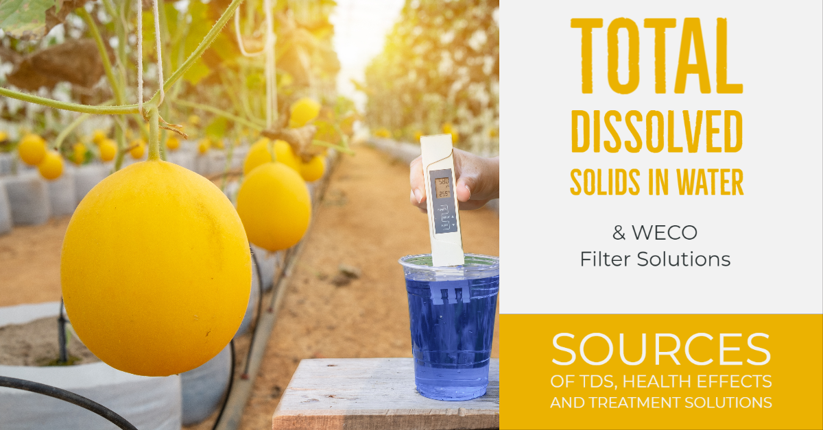Total Dissolved Solids (TDS) Total Dissolved Solids (TDS)