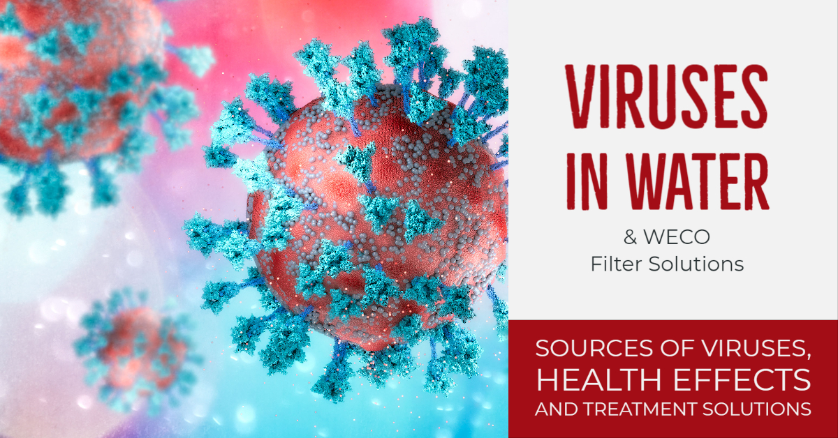 Viruses Viruses