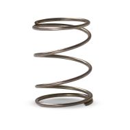 Polaris Scientific UV-32SPRING Stainless Steel Spring 
