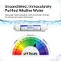 WECO HYDRA-75UVALKPMP Reverse Osmosis Drinking Water Filtration System with pH Neutralizer Cartridge, UV and Booster Pump