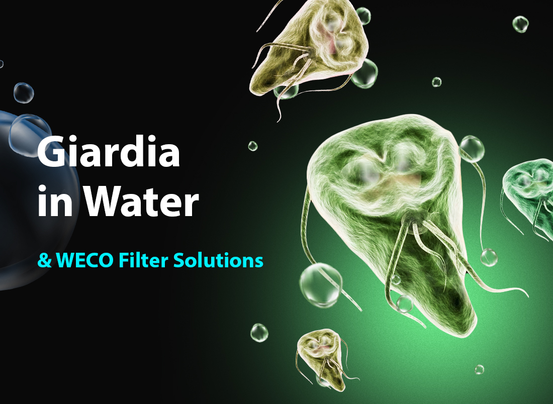 Giardia in Water